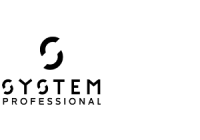 System Professional